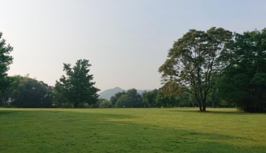 妊活｜梅雨入りで体調不良も長引くかも？！漢方で改善してみよう！